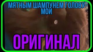 Мятным шампунем голову мой, но писю не тронь Оригинал мема из тик ток