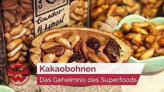 Kakaobohnen: Das Geheimnis des Superfoods - GenussMomente | Welt der Wunder