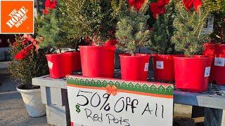 Home Depot 50% off Holiday Red Pot Evergreens & Shrubs. Clearance. December 2024 Inventory.