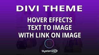 Divi Theme Hover Effects Text To Image With Link On Image 