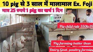 Pig farming से 3 साल में मालामाल Ex Army Foji ने बताया Pig farm से लाखों रूपये महिना कमाने का तरीका।