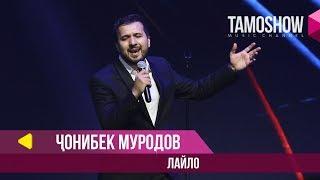 Чонибек Муродов - Лайло / Tamoshow Music Awards 2019