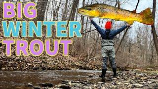 BIG WINTER TROUT