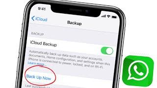 How To Backup Whatsapp Chat Videos images & Audio On iPhone ( 2021 )