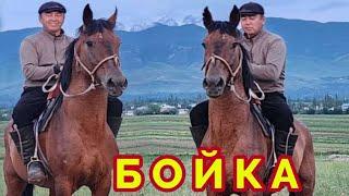 Бойка +996-704-03-27-90