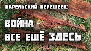 Кто раскидал на болоте оружие?/Раскопки Второй Мировой войны