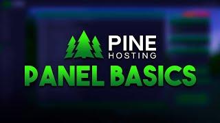 Panel Overview (Pine Hosting Basics)