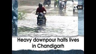 Heavy downpour halts lives in Chandigarh - #Punjab News