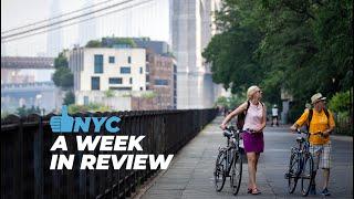 Week in Review | July 13 - July 19