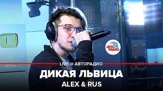 ️ Alex & Rus - Wild Lioness (LIVE @ Autoradio) Russia