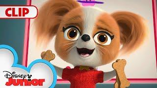 Chef Puppy Paw's Doggie Treats!  | Doggie Treats Only Music Video  | SuperKitties | @disneyjunior​