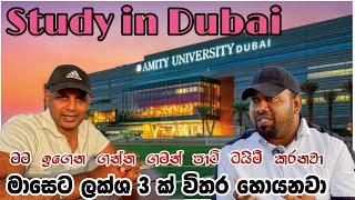 ඉගෙන ගන්න ඩුබායි එනවද?|Study in dubai | dubai part time jobs | how to find jobs | sinhala