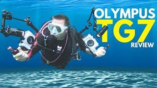 Olympus TG7 underwater test