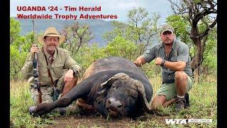 Uganda Safari Hunt 2024 8 Buffalo - 2 Scrum Caps with Tim Herald and Worldwide Trophy Adventures