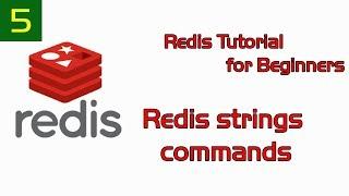 Redis Tutorial for Beginners 5 - Redis strings commands