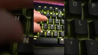 Beste Razer Tastatur?! #gaming #zocken #videospiele #tastatur #test #review #razer #blackwidowv4pro