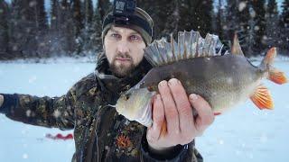 FURIOUS BITING. HUGE FISH TAKES THE BAIT. FISHING