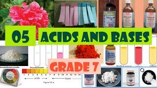 Acid and bases| Grade 7 |science| english medium| unit 5