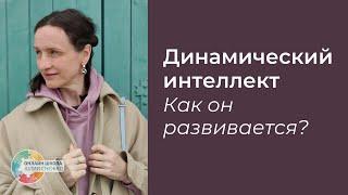 Динамический интеллект  Как он развивается?  Аутизм, ЗПР, ОВЗ.