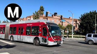 Los Angeles Metro Public Bus Compilation