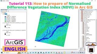 How to prepare Normalised Difference Vegetation Index (NDVI) in Arc GIS