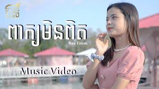 ពាក្យមិនពិត ចុកក្នុងទ្រូង - Bee Emm l Cover