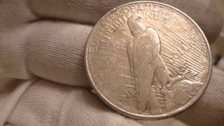 1926 Peace Silver Dollar Coin Review