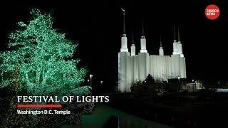 Festival of lights at Washington D.C. Temple