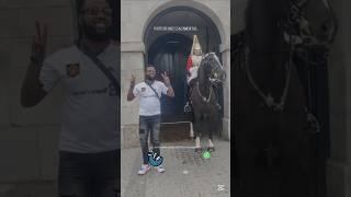 Royal horse scares distracted tourists #ressacamental #horse #kindness #kingshorse #royalhorse