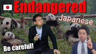 Why Did The Japanese Become Endangered Species? | The Japan Report