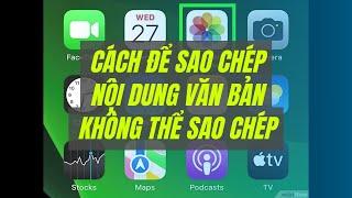 Cách để Sao chép nội dung văn bản không thể sao chép | WikiHow Tiếng Việt | Vietnamese