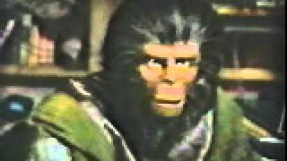 Planet of the Apes Old Galen 1981 TV Wraps 1A