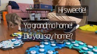 Grandma Come Home! | BilliSpeaks