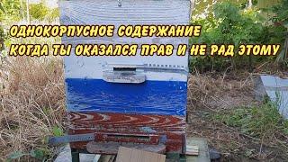 пчеловодство, однокорпусное содержание когда ты оказался прав и не рад этому, пасека