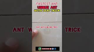 FASTEST ANT | UNIQUE ANT WITH DEAD TRICK | JM KAHAL SKILL #SHORT