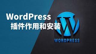 WordPess系列之9 WordPress插件的作用 安装  自学建站 素材 主题 模版 插件 工具 网站建设 资源下载 知识付费 十分钟搭建网站