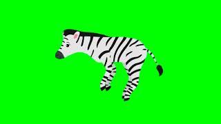 zebra green screen animation free copyright