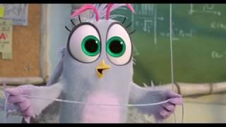 The Angry Birds Movie 2 - Meeting Silver