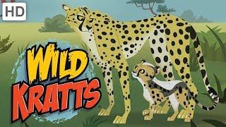  Wild Kratts - Meet "Blur" the Cheetah!