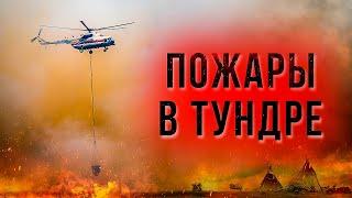 Как тушат лесные пожары на Ямале | Факты