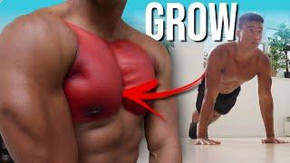 How to Get a Bigger Chest at Home With Push Ups (No Equipment) | Calisthenics for Beginners