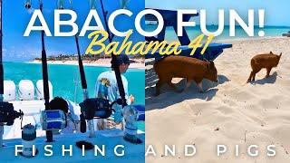 The Abacos: Fishing and Swimming Pigs | Treasure Cay