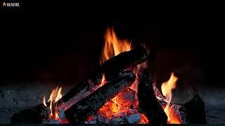 Night Campfire with Dark Background Video - 12 Hours Burning Fire Sounds & Black Screen for Sleep