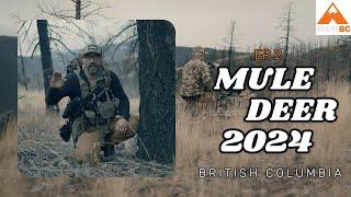 MULE DEER HUNT BRITISH COLUMBIA | 2024 | PART 2