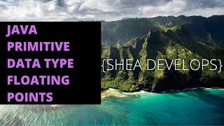 Beginner Java Tutorial on  Floating Point Primitive Data Types Float and Double