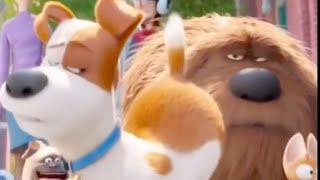 Secret Life Of Pets Max Fart Edit