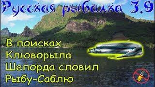 Русская рыбалка 3.9. Ловил Шепорда поймал Рыбу - саблю!