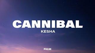 Kesha - Cannibal (Lyrics)