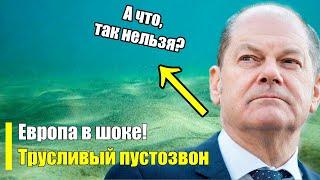 Шольц на самом дне! Рассмеялся прямо в лицо! Трусливый пустозвон и нахал!