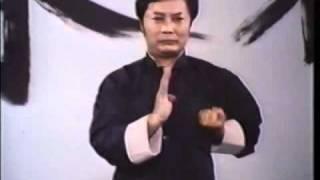 Wing Chun - Wong Shun Leung - Siu Lim Tau - slow